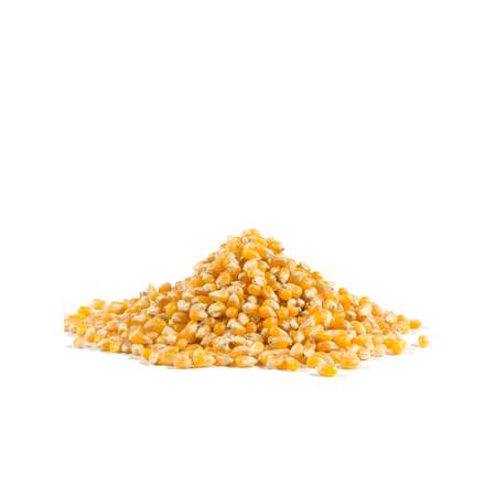 Bobs Red Mill Natural Foods Bob's Red Mill Whole Yellow Popcorn, PK4 1160S304